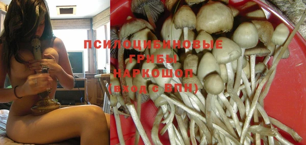 эйфоретик Алексеевка